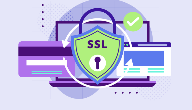 SSL VPN